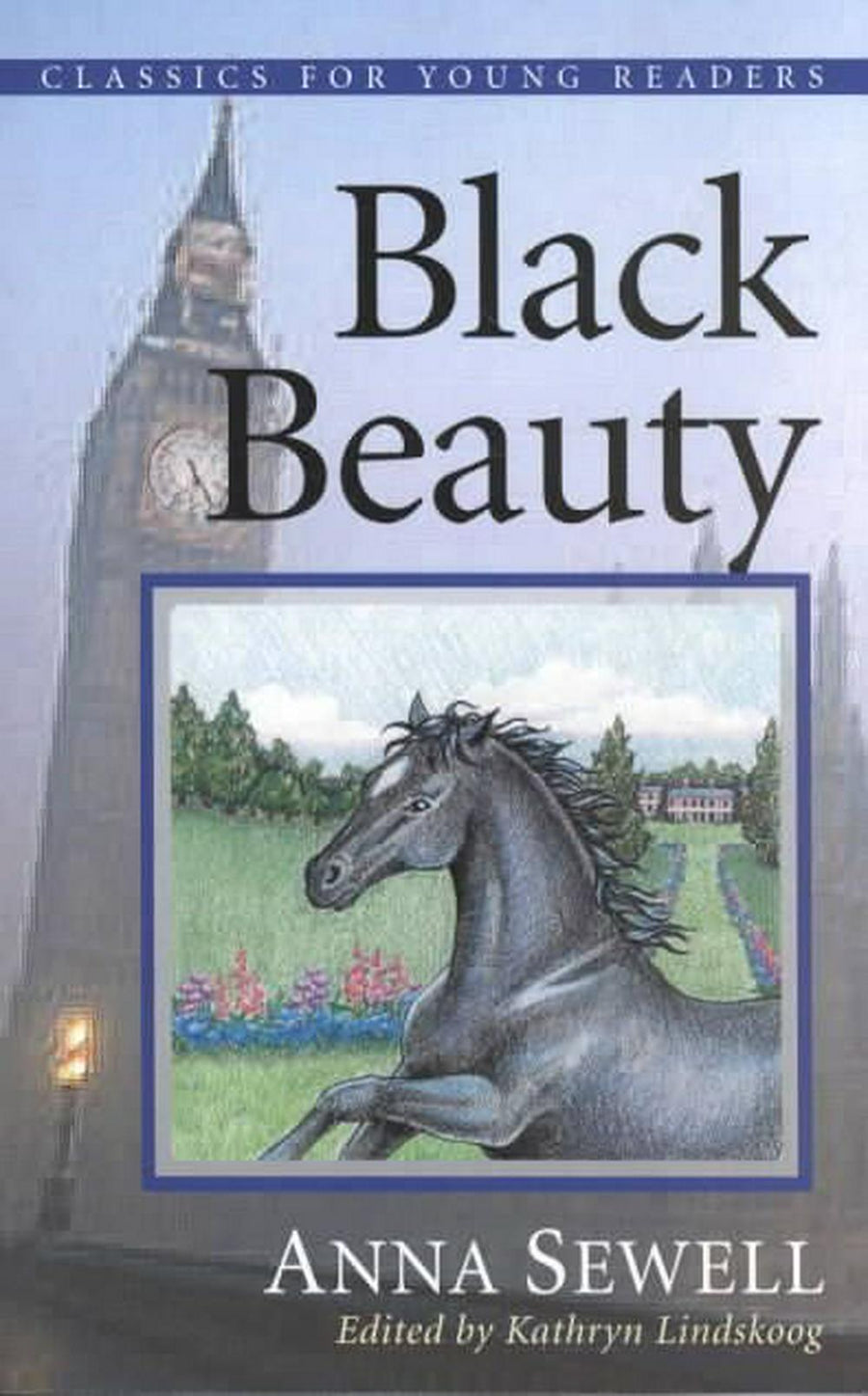 Black Beauty - Re-vived