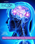 The Electrifying Nervous System Hardback - Lainna Callentine - Re-vived.com