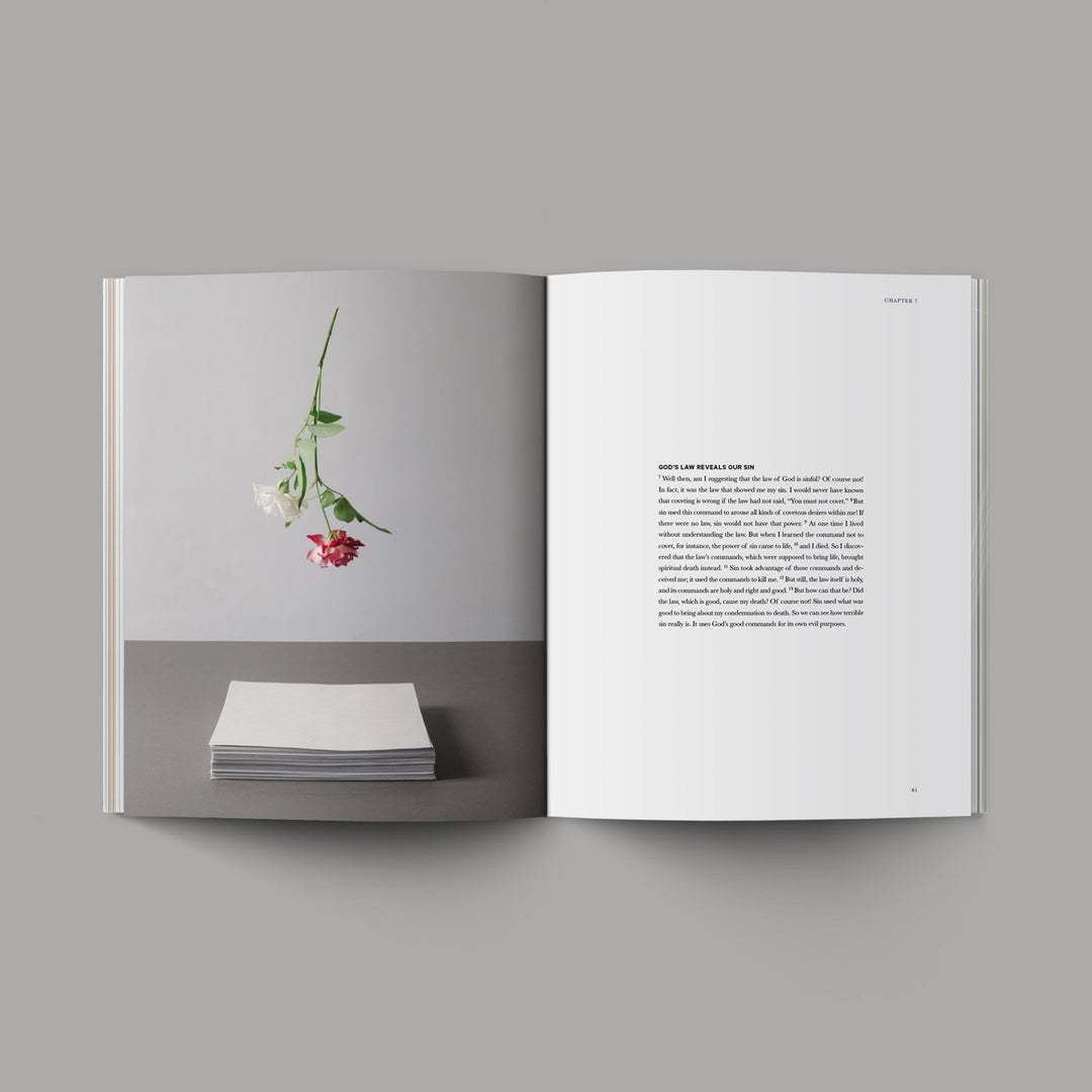 Book of Romans - Re-vived