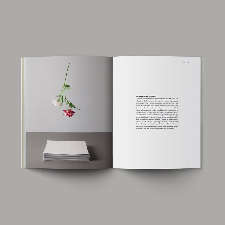 Book of Romans - Re-vived
