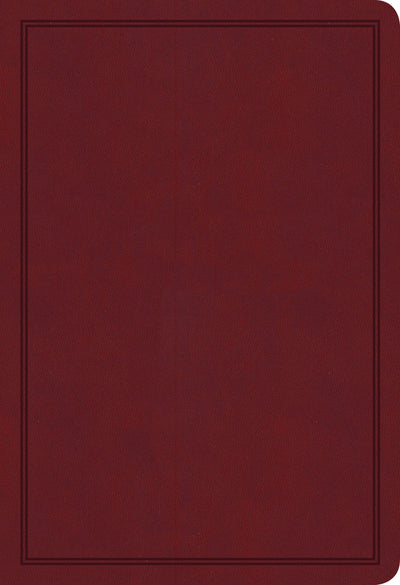 KJV Deluxe Gift Bible, Burgundy LeatherTouch - Re-vived