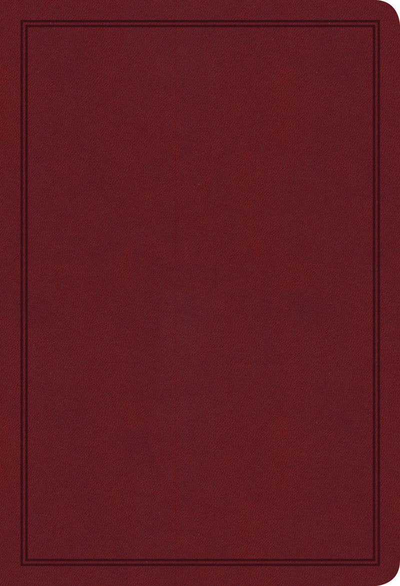 KJV Deluxe Gift Bible, Burgundy LeatherTouch
