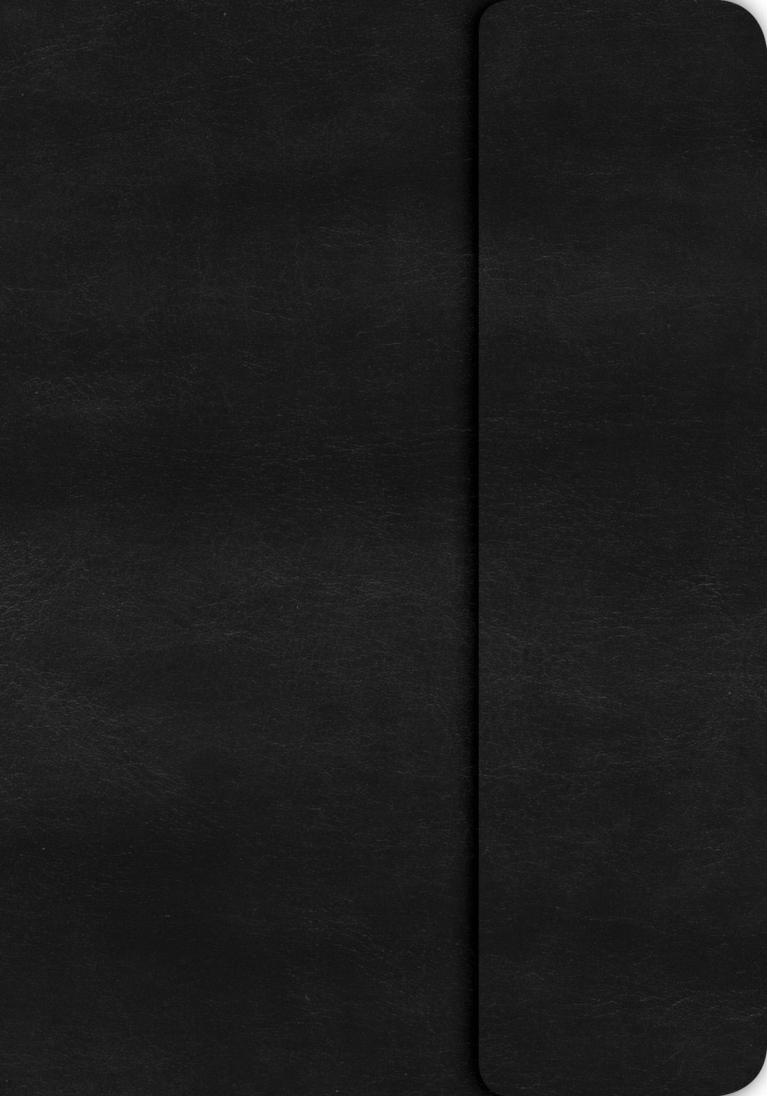 KJV Large Print Compact Reference Bible, Black LeatherTouch - Re-vived