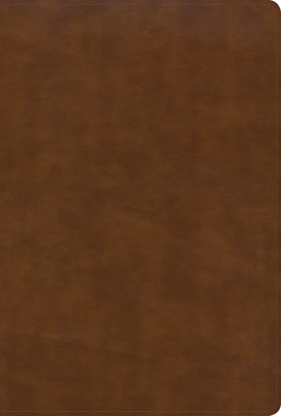 KJV Large Print Ultrathin Reference Bible, British Tan - Re-vived