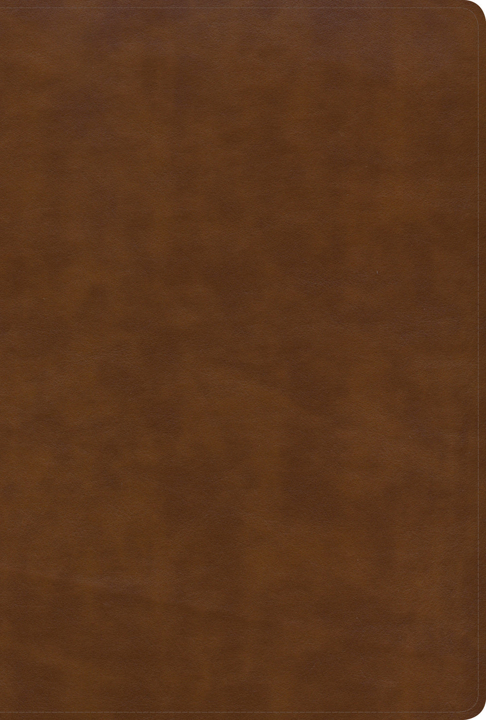 KJV Large Print Ultrathin Reference Bible, British Tan - Re-vived