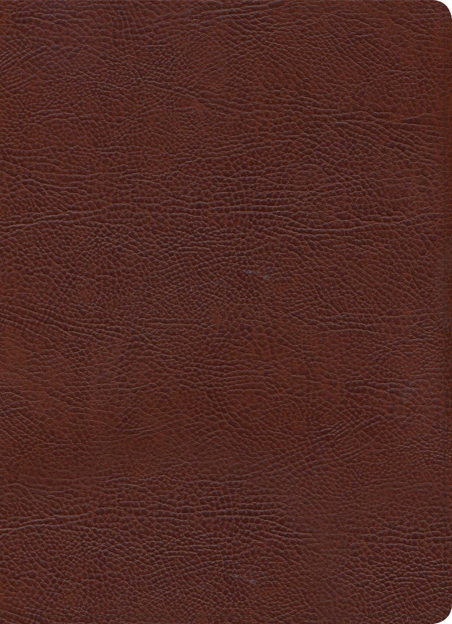 KJV Study Bible, Full-Color, Brown Bonded Leather, Indexed - Re-vived