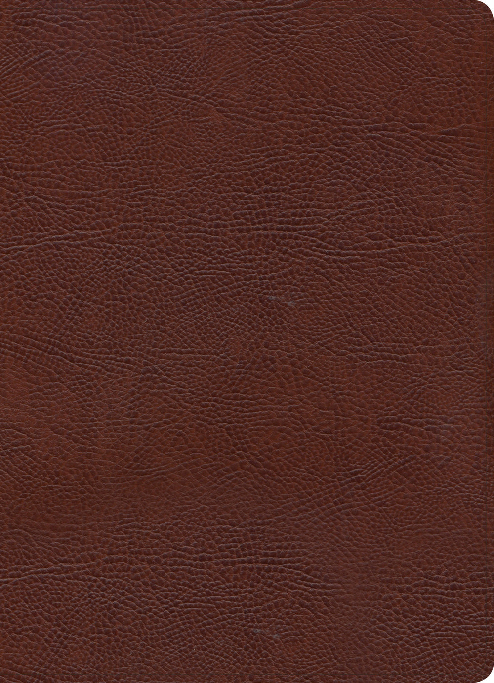 KJV Study Bible, Full-Color, Brown Bonded Leather, Indexed - Re-vived
