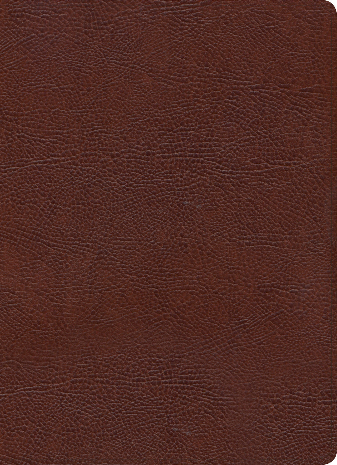 KJV Study Bible, Full-Color, Brown Bonded Leather, Indexed - Re-vived