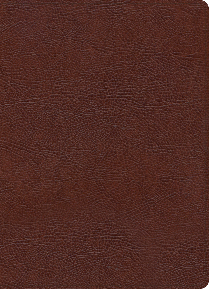 KJV Study Bible, Full-Color, Brown Bonded Leather, Indexed - Re-vived