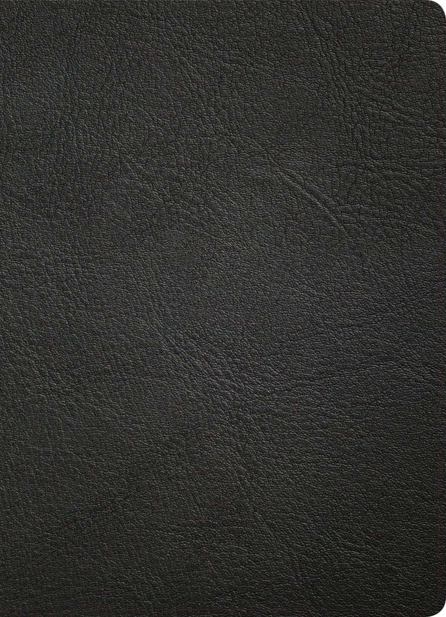 KJV Study Bible, Full-Color, Black Premium Leather, Indexed - Re-vived