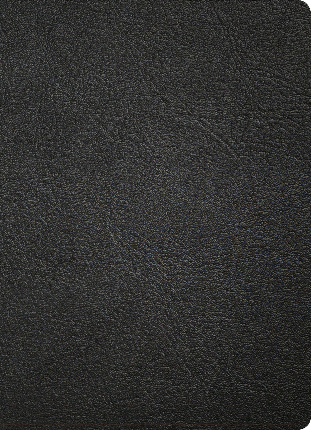 KJV Study Bible, Full-Color, Black Premium Leather, Indexed - Re-vived
