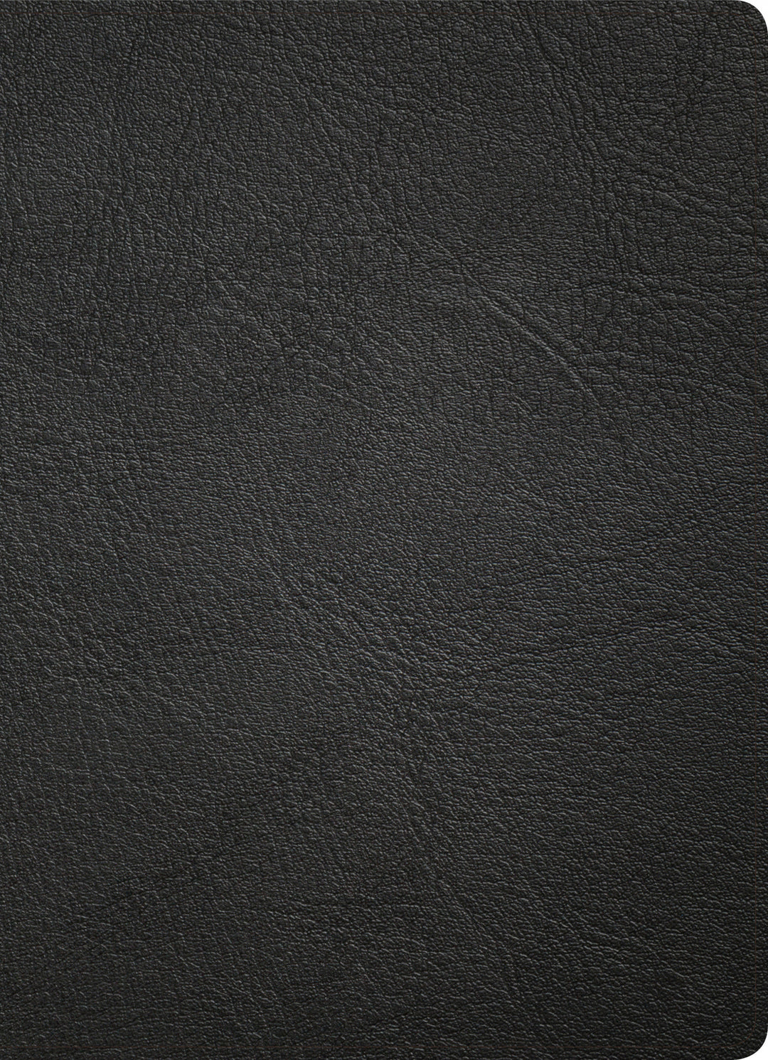 KJV Study Bible, Full-Color, Black Premium Leather, Indexed - Re-vived