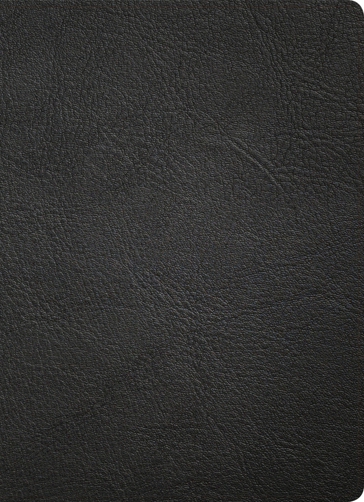 KJV Study Bible, Full-Color, Black Premium Leather, Indexed - Re-vived