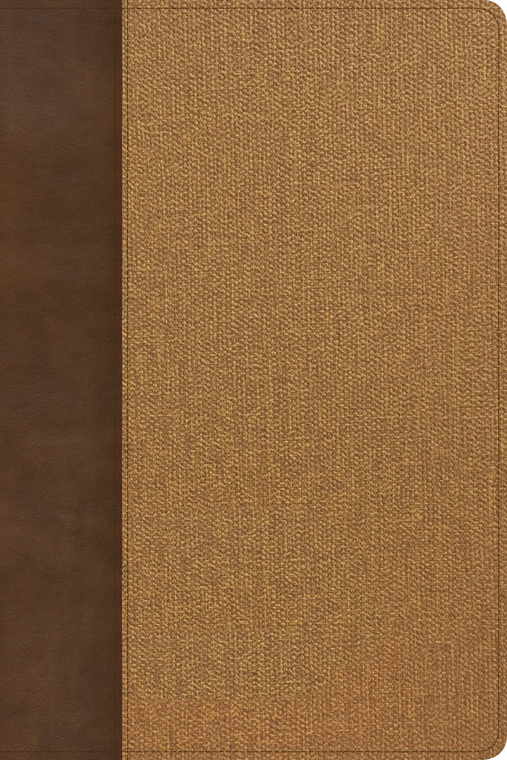 KJV Rainbow Study Bible, Brown/Tan LeatherTouch, Indexed - Re-vived