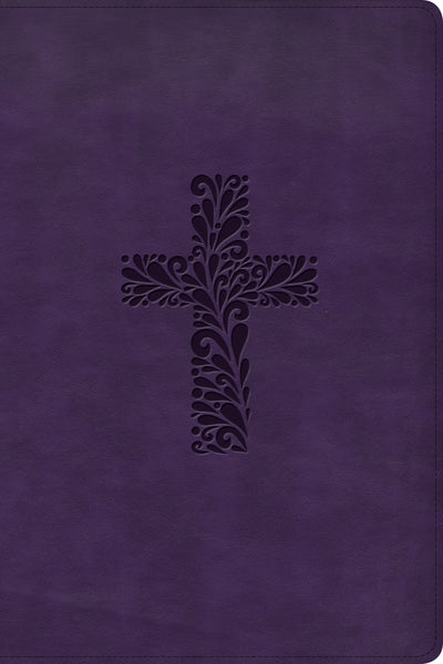 KJV Rainbow Study Bible, Purple LeatherTouch, Indexed