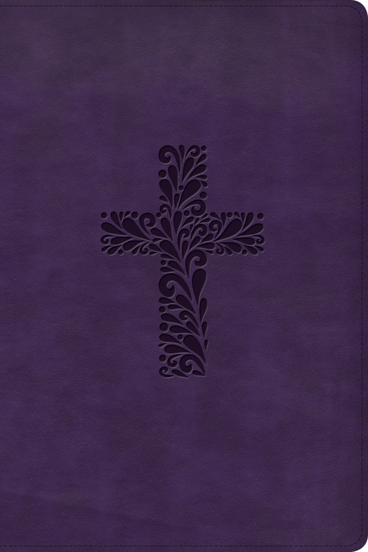 KJV Rainbow Study Bible, Purple LeatherTouch, Indexed - Re-vived
