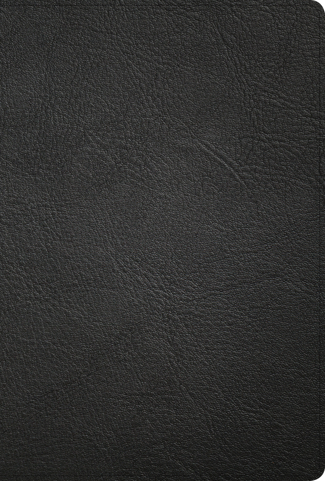 KJV Large Print Ultrathin Reference Bible, Black - Re-vived