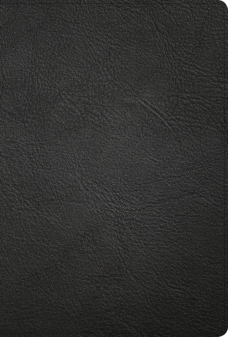 KJV Large Print Ultrathin Reference Bible, Black