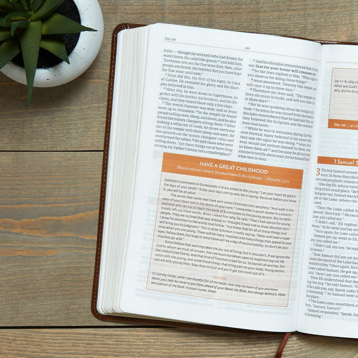 CSB Every Day with Jesus Daily Bible, Brown - Re-vived