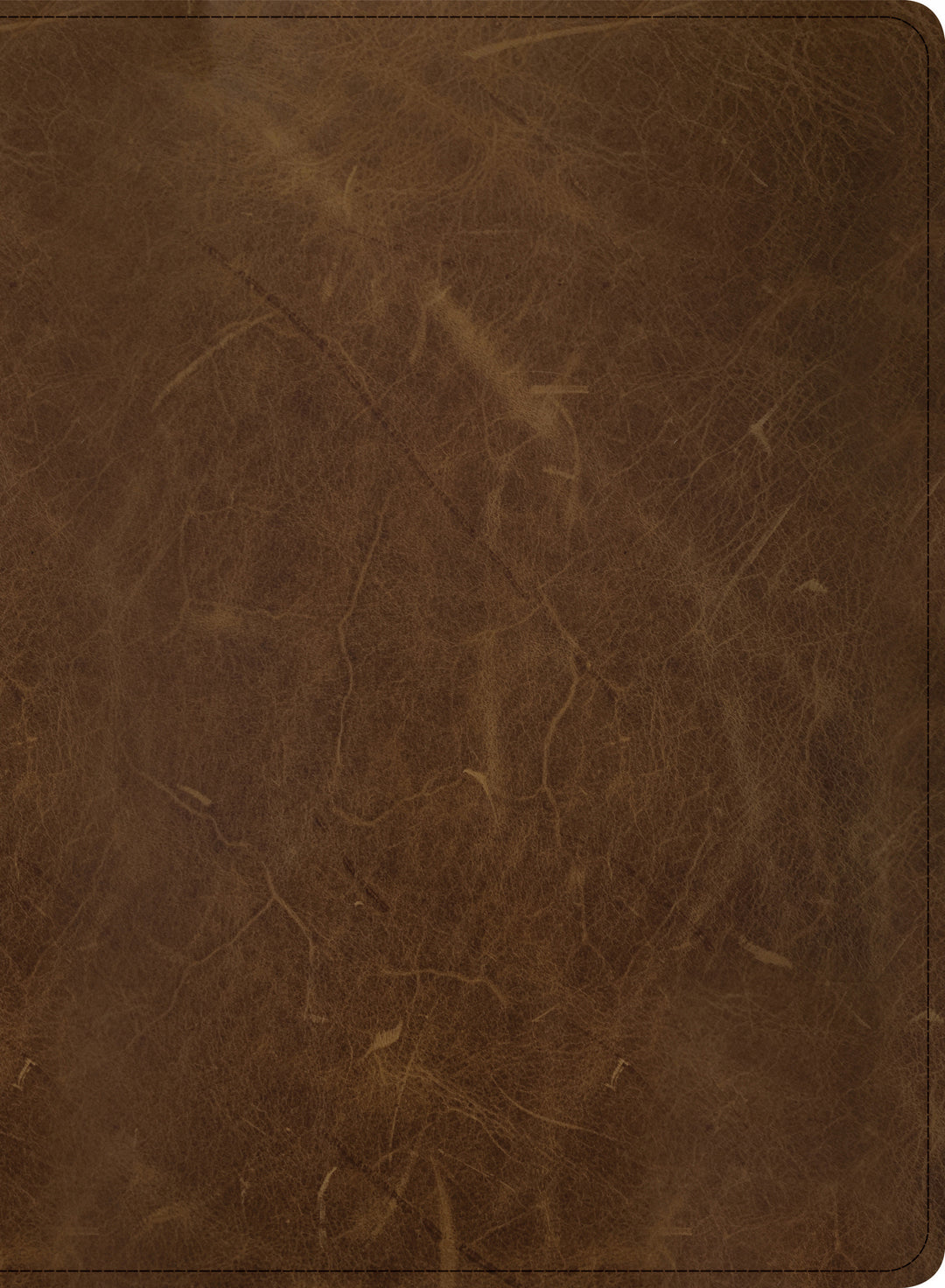 CSB Men of Character Bible, Brown Genuine Leather - Re-vived