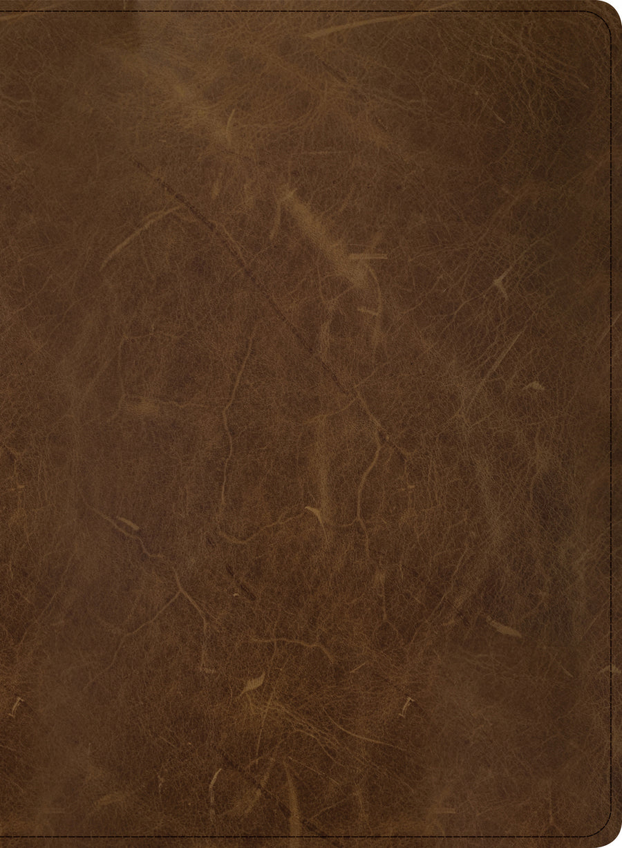 CSB Men of Character Bible, Brown Genuine Leather - Re-vived