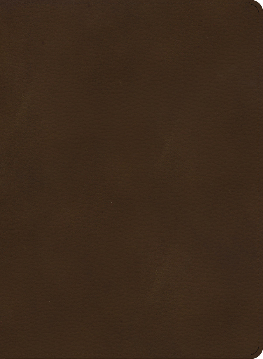 CSB Single-Column Wide-Margin Bible, Brown LeatherTouch - Re-vived