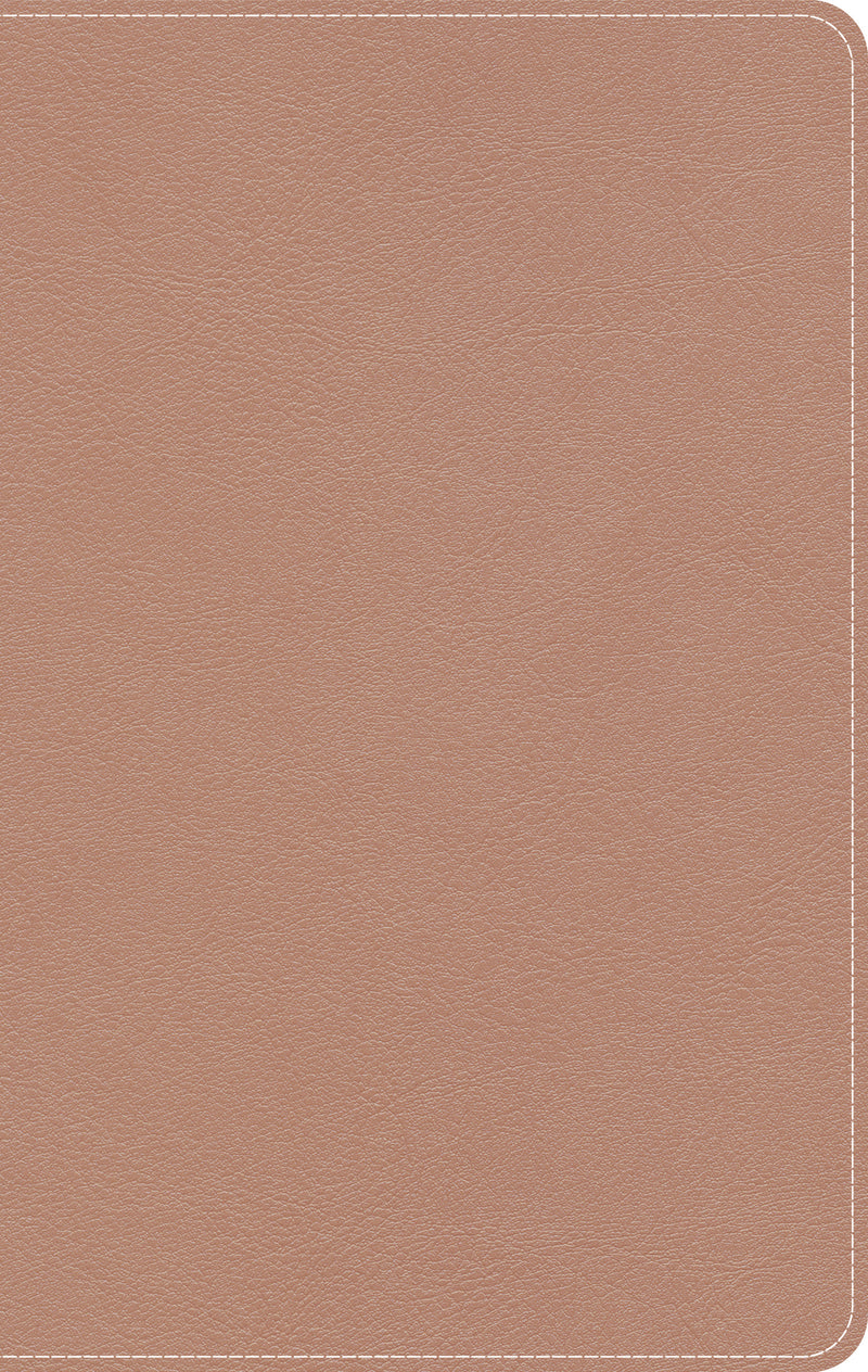 KJV On-The-Go Bible, Personal Size, Personal Size, Rose Gold