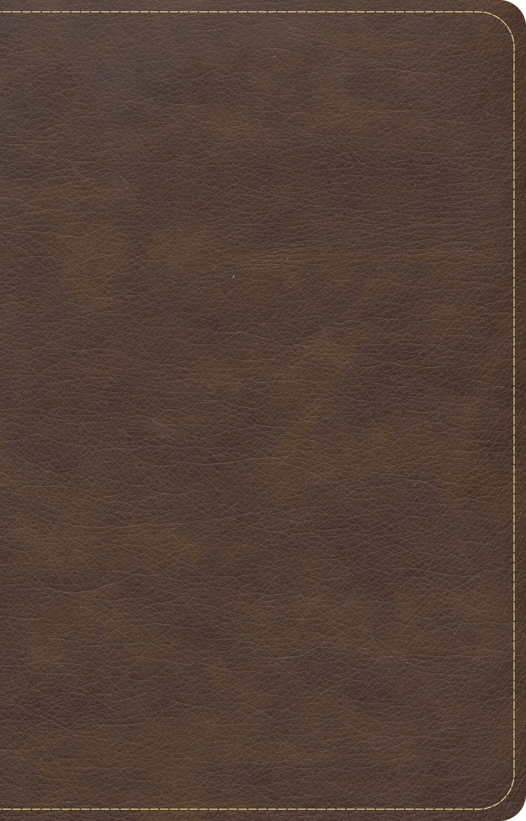 CSB Single-Column Compact Bible, Brown
