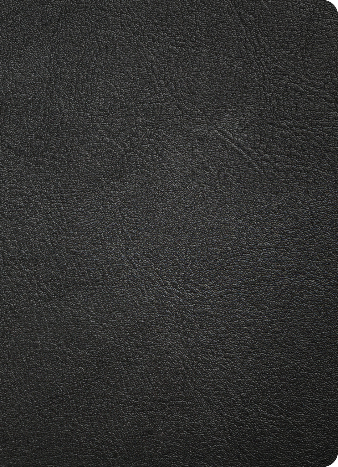 CSB Study Bible, Holman Handcrafted Collection, Premium Black