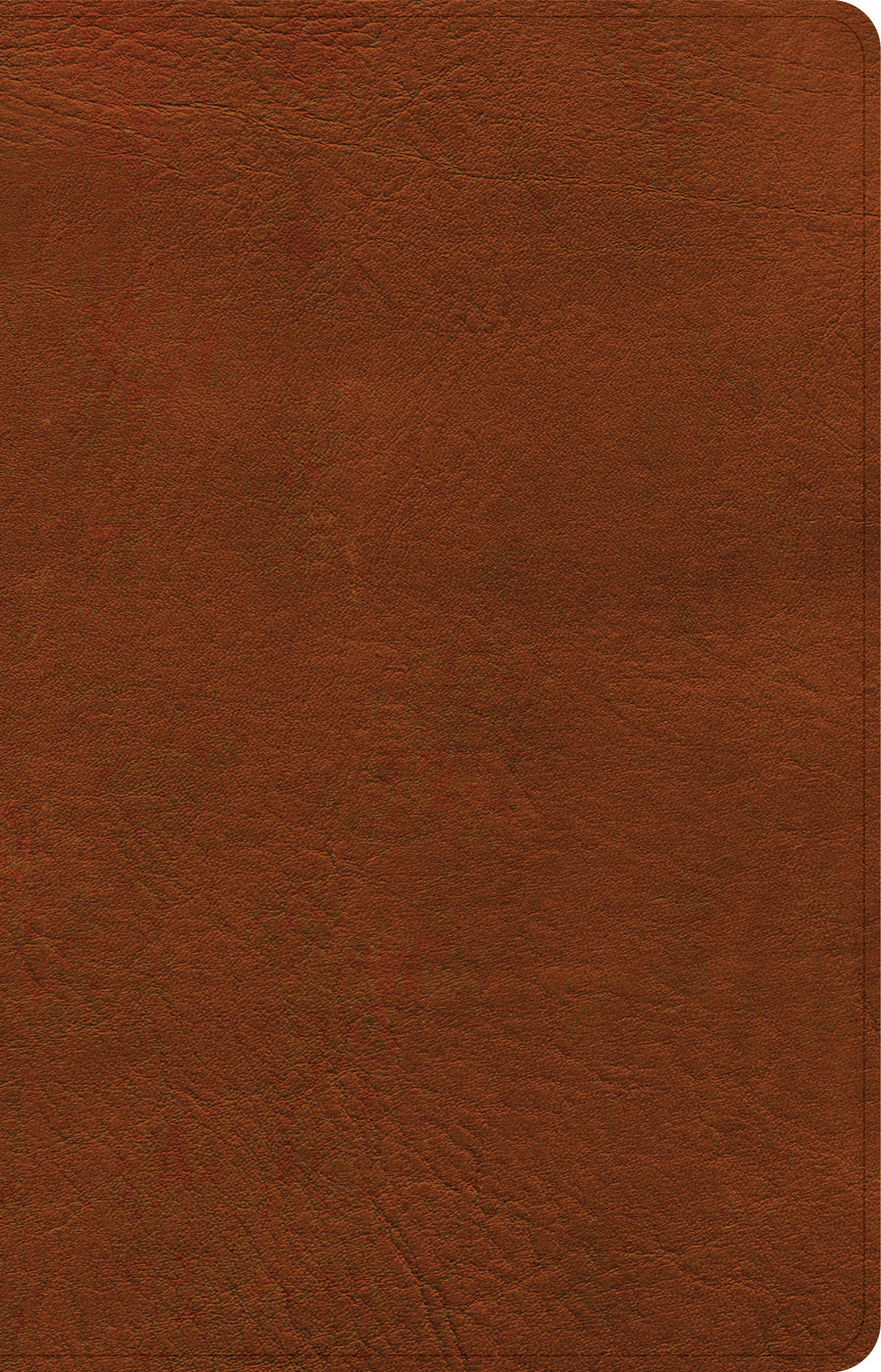 NASB Large Print Personal Size Reference Bible, Burnt Sienna - Re-vived