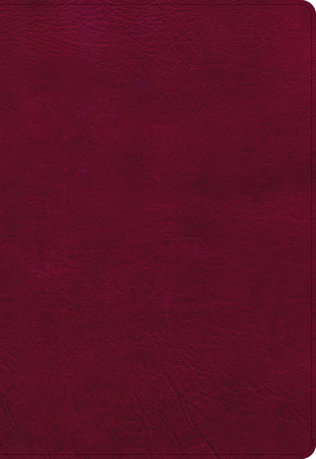 NASB Super Giant Print Reference Bible, Burgundy - Re-vived