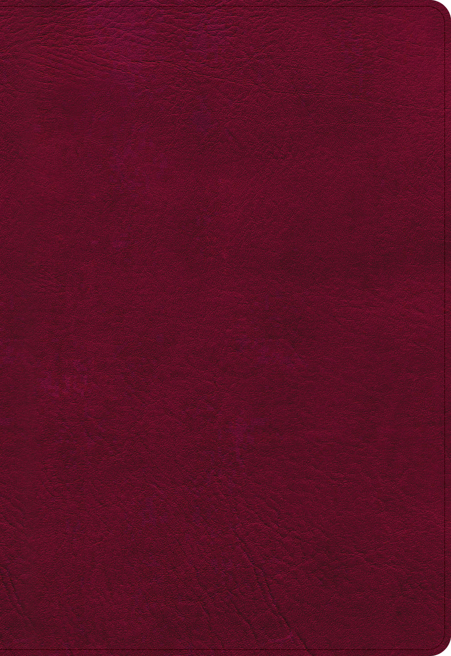 NASB Super Giant Print Reference Bible, Burgundy - Re-vived
