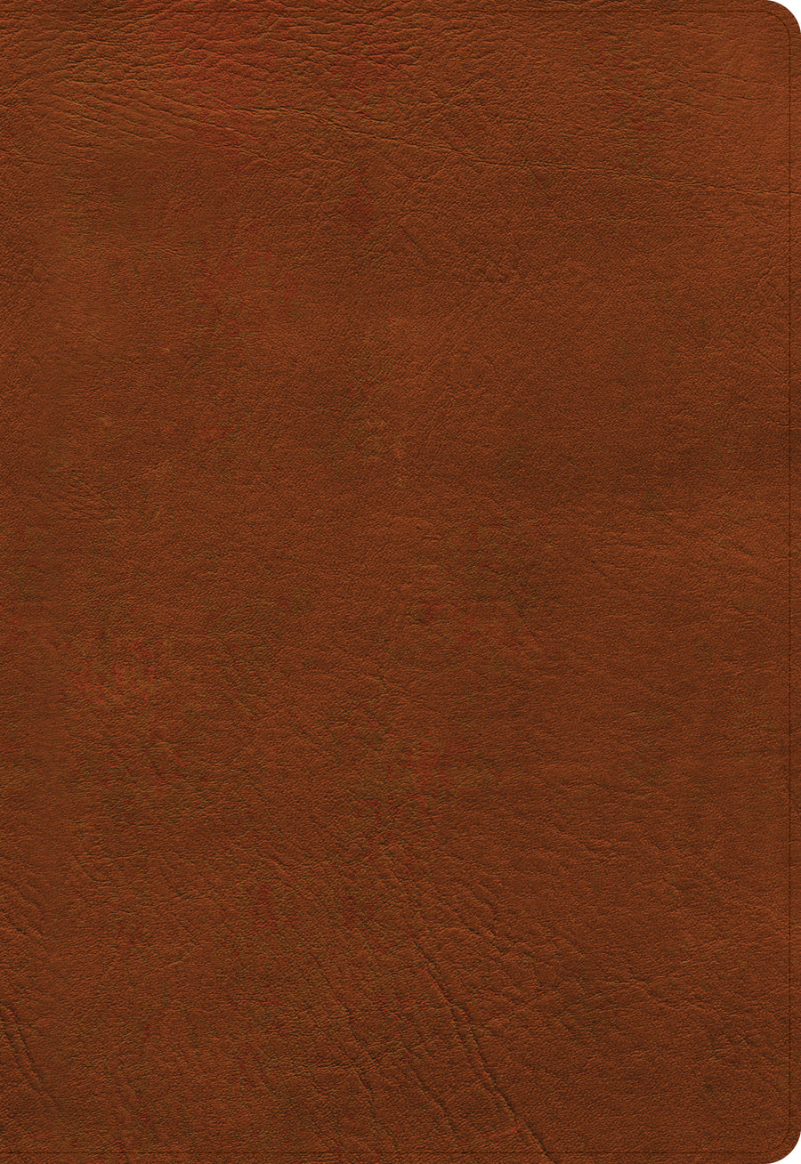 NASB Super Giant Print Reference Bible, Burnt Sienna - Re-vived