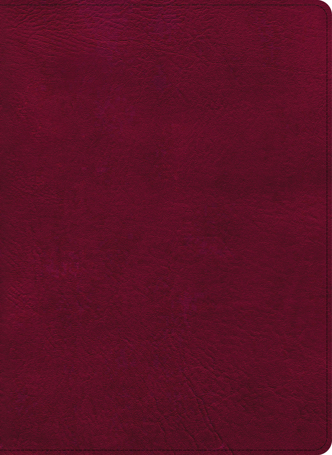CSB Holy Land Illustrated Bible, Burgundy LeatherTouch
