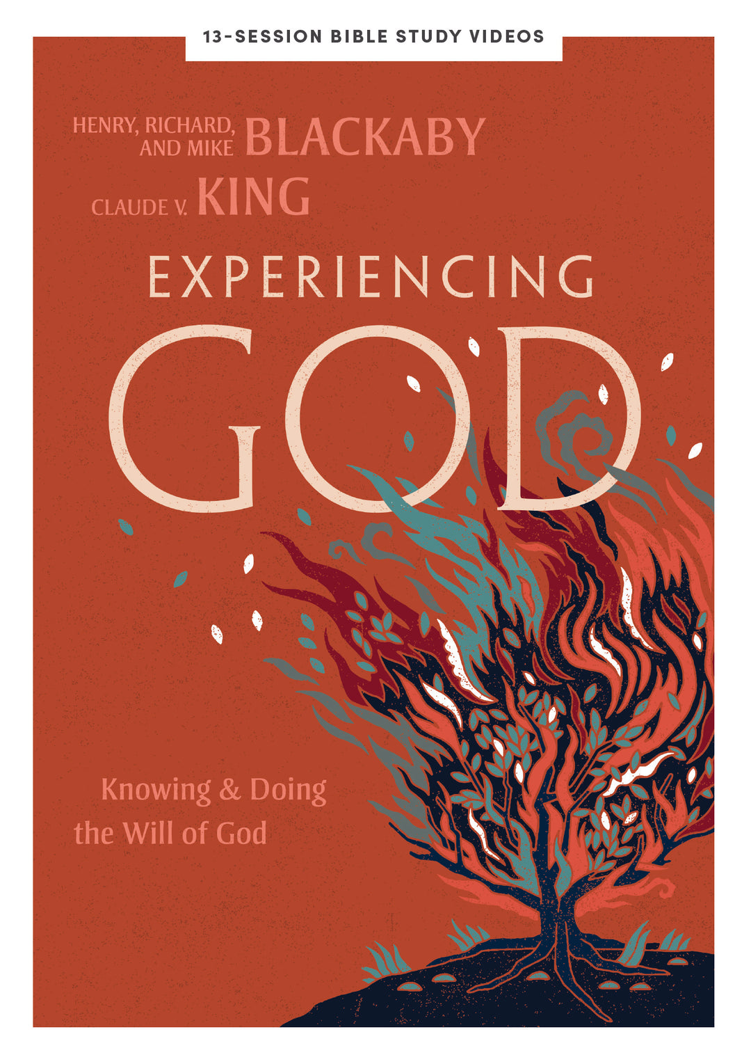 Experiencing God DVD Set - Re-vived