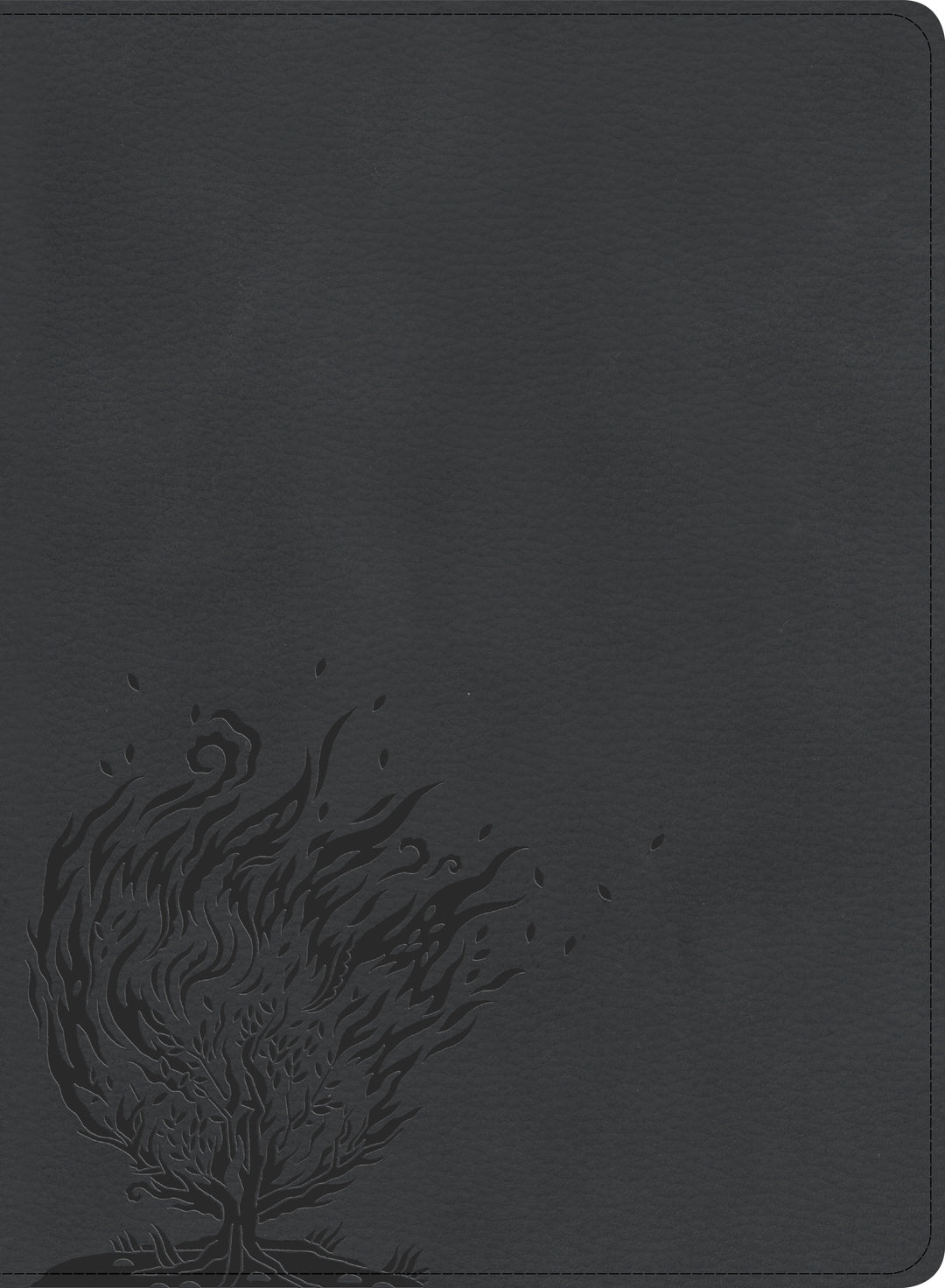 CSB Experiencing God Bible, Charcoal LeatherTouch