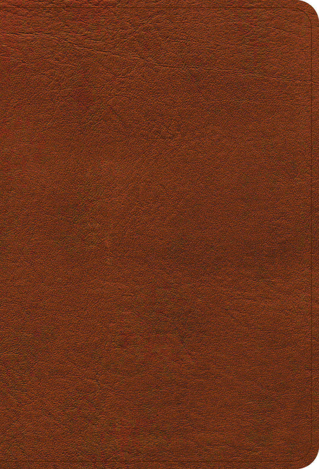 NASB Large Print Compact Reference Bible, Burnt Sienna - Re-vived
