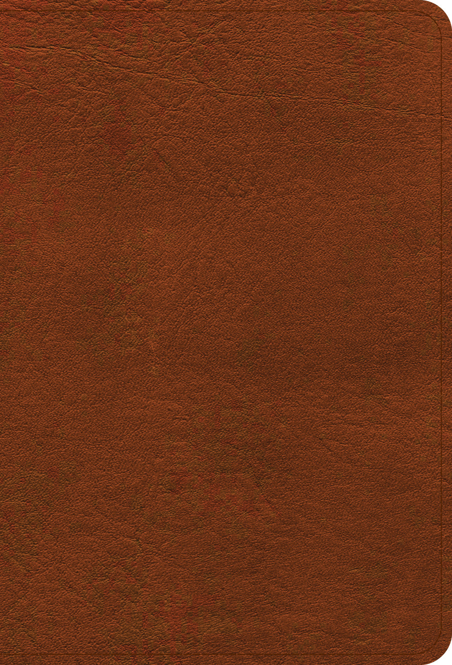 NASB Large Print Compact Reference Bible, Burnt Sienna - Re-vived