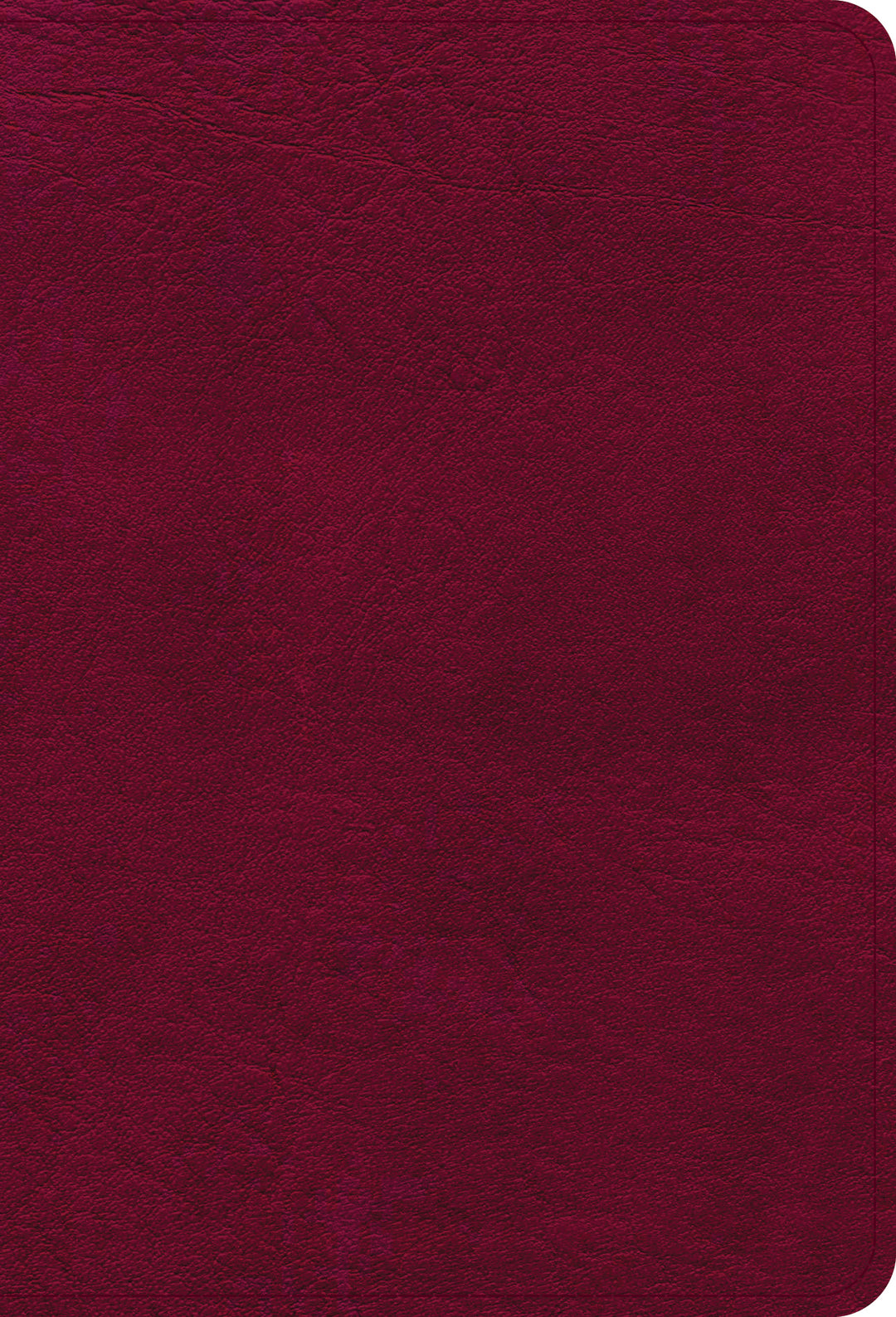 NASB Large Print Compact Reference Bible, Burgundy - Re-vived