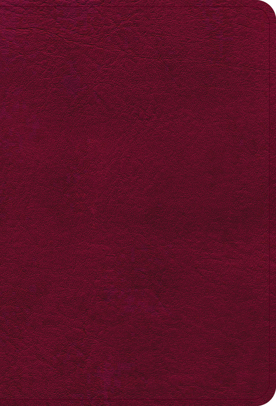 NASB Large Print Compact Reference Bible, Burgundy - Re-vived