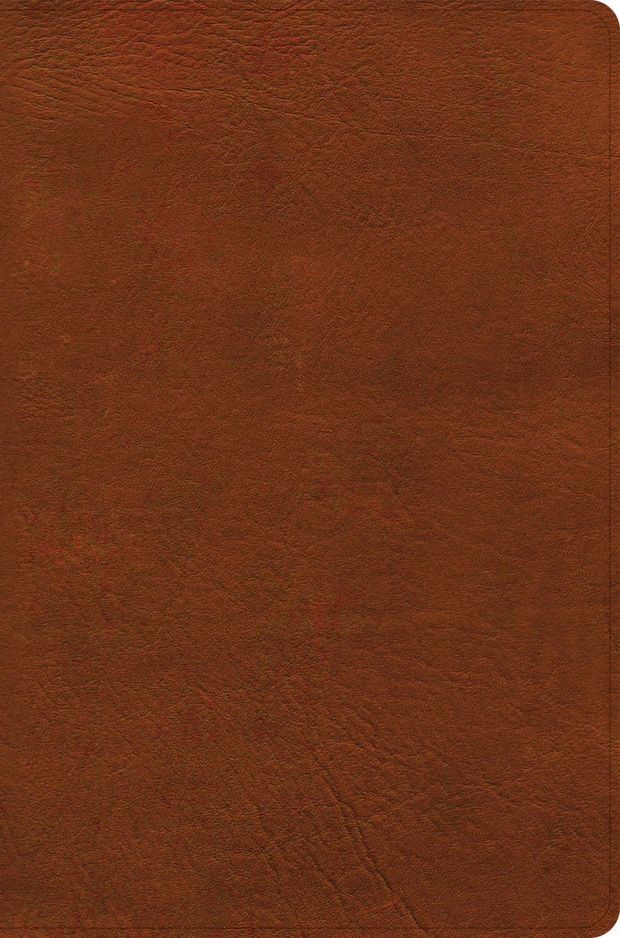 NASB Giant Print Reference Bible, Burnt Sienna LeatherTouch - Re-vived