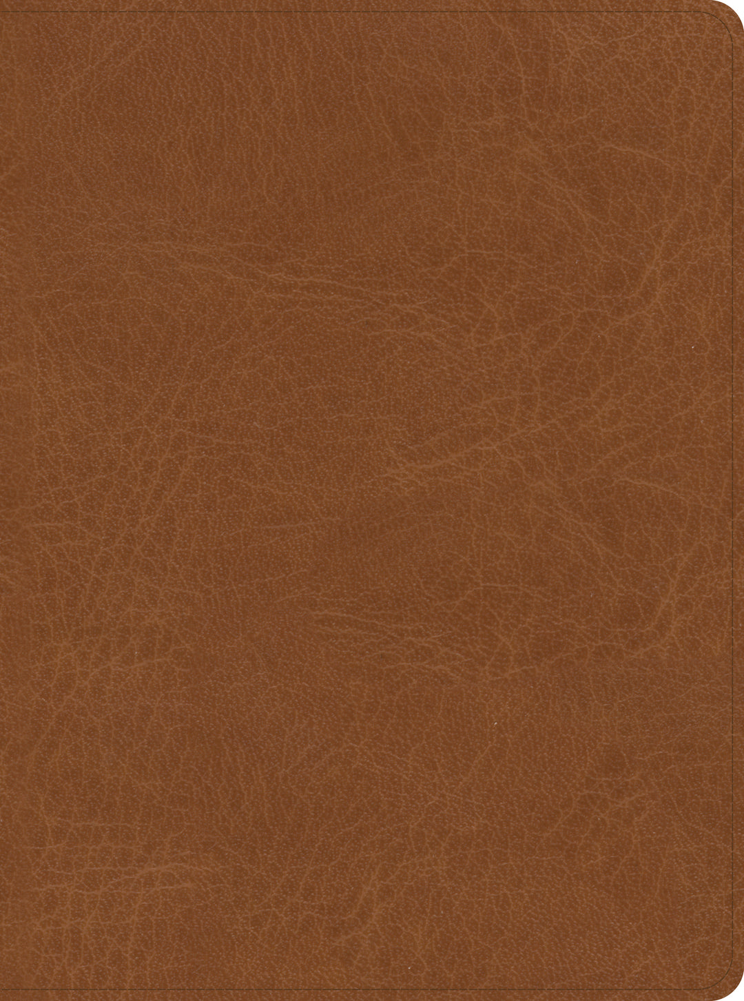 CSB He Reads Truth Bible, Saddle LeatherTouch, Indexed