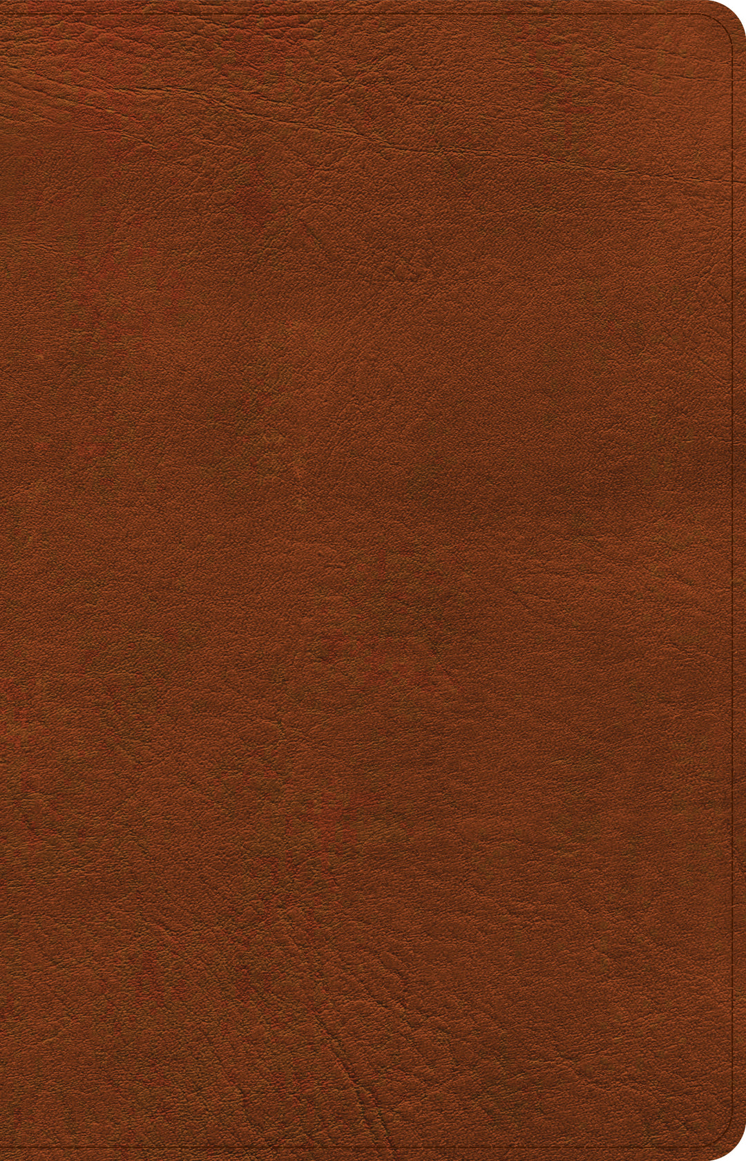 CSB Thinline Bible, Burnt Sienna LeatherTouch