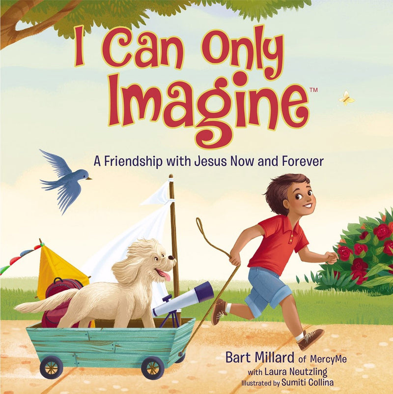 I Can Only Imagine  (Picture Book)