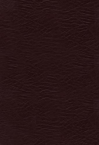 The Woman's Study Bible, NKJV - Re-vived