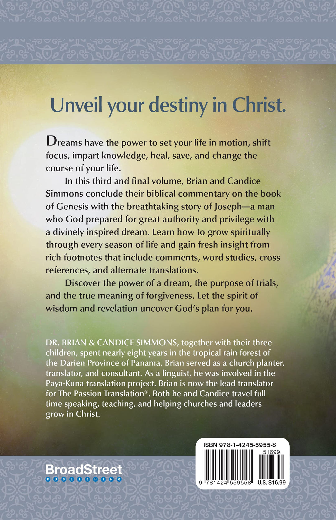 The Dreamer - Re-vived