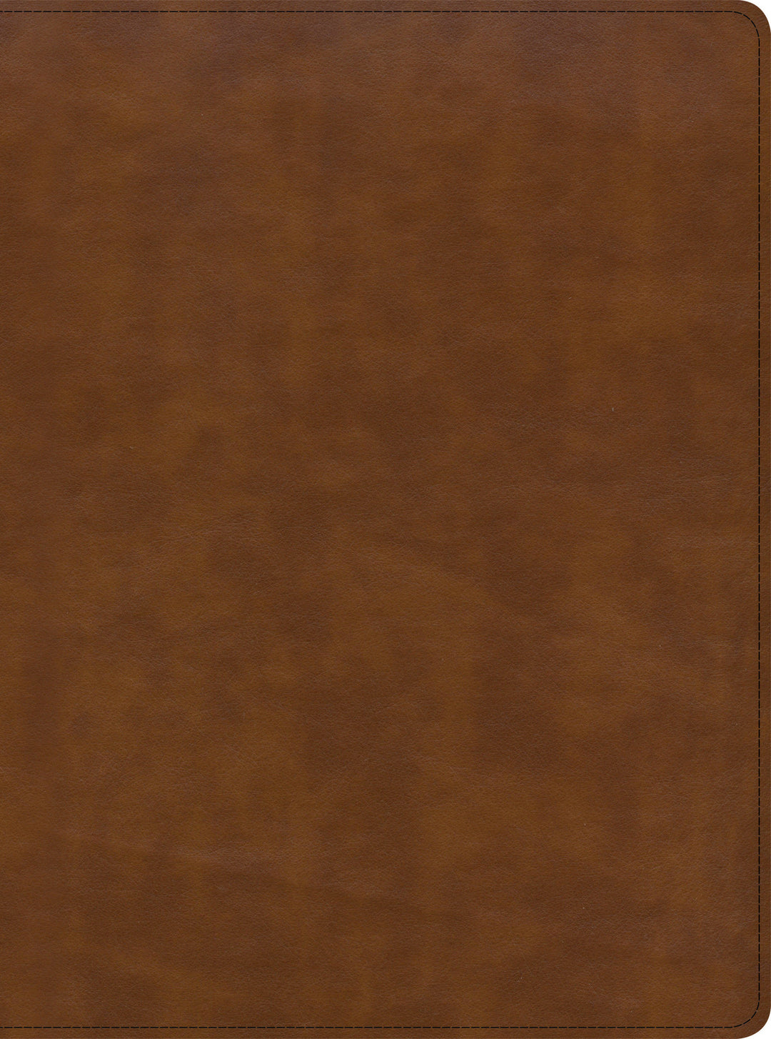CSB Holy Land Illustrated Bible, British Tan LeatherTouch - Re-vived