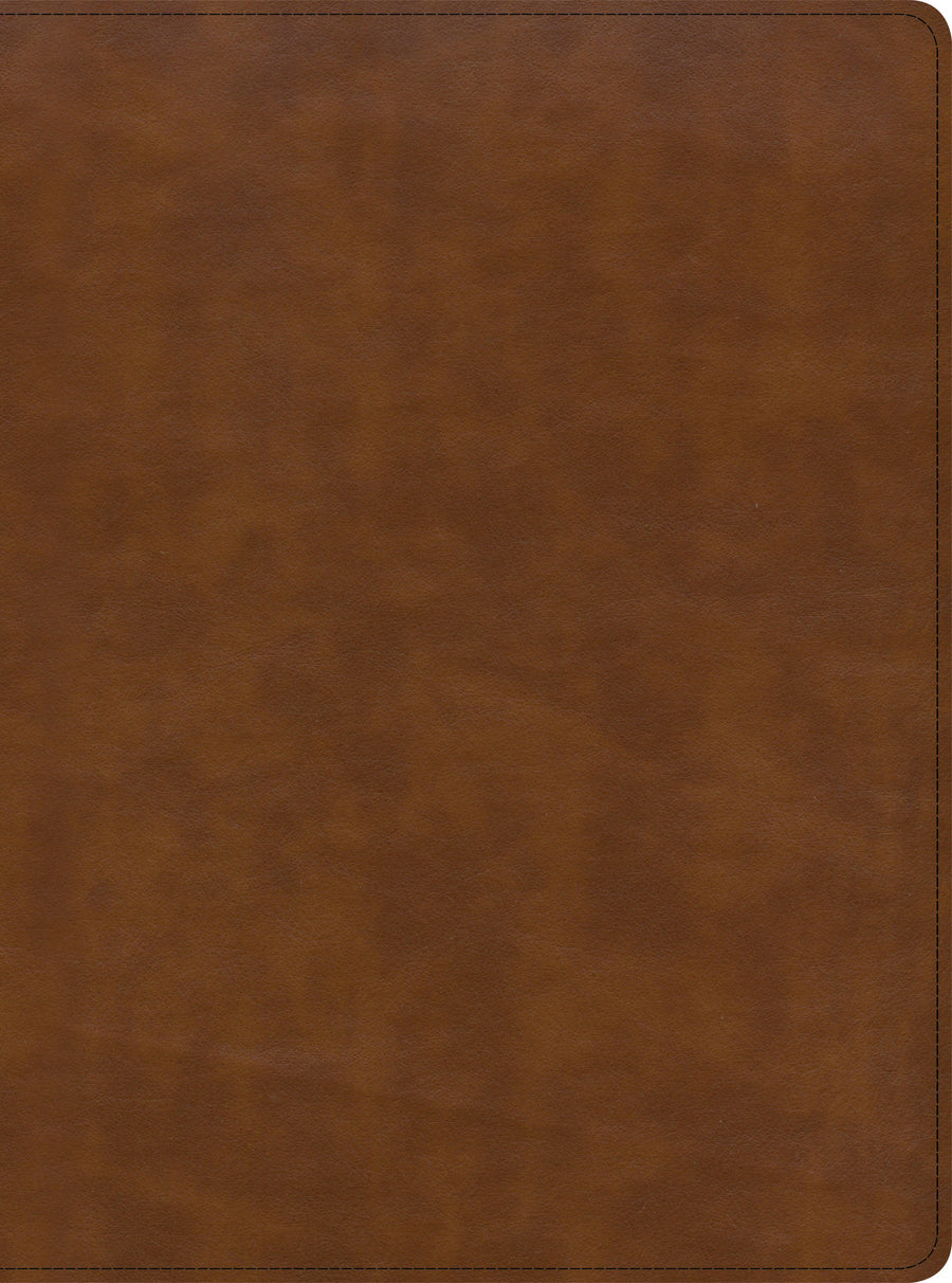 CSB Holy Land Illustrated Bible, British Tan LeatherTouch - Re-vived