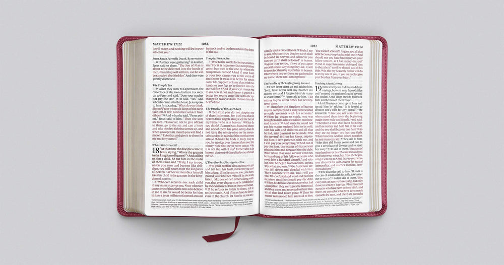 ESV Large Print Compact Bible, Trutone, Berry, Floral Design - Re-vived
