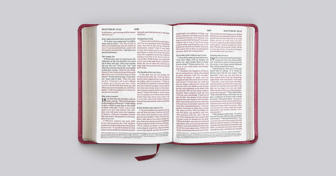 ESV Large Print Compact Bible, Trutone, Berry, Floral Design - Re-vived